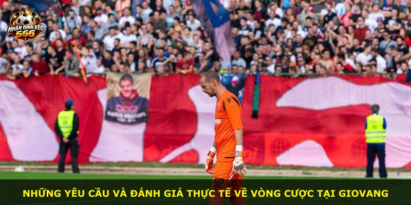 Những yêu cầu và đánh giá thực tế về vòng cược tại GIOVANG