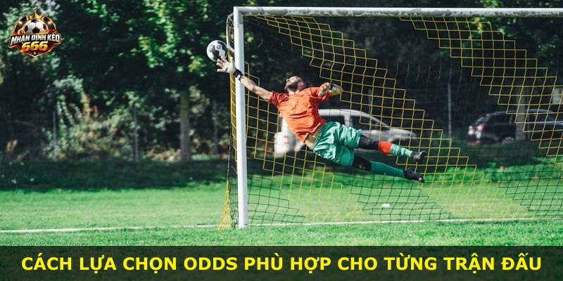 Cách lựa chọn Odds phù hợp cho từng trận đấu