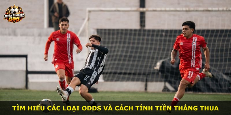 Tìm hiểu các loại Odds và cách tính tiền thắng thua
