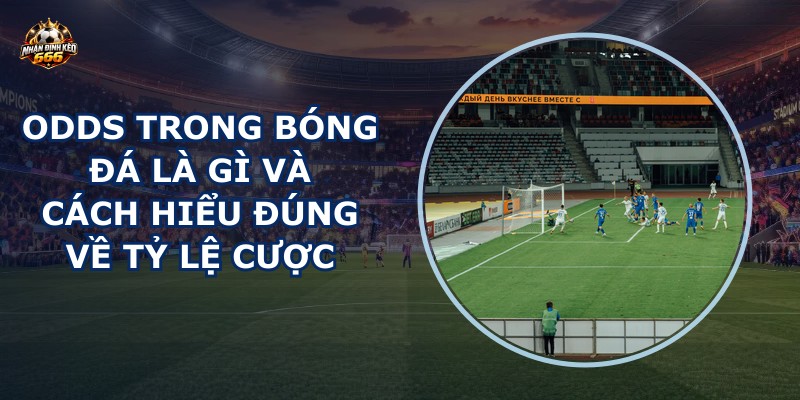 Odds trong bóng đá là gì