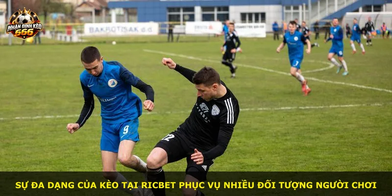 Sự đa dạng của kèo tại RICBET phục vụ nhiều đối tượng người chơi