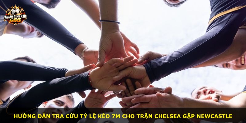 Hướng dẫn tra cứu tỷ lệ kèo 7m cho trận Chelsea gặp Newcastle