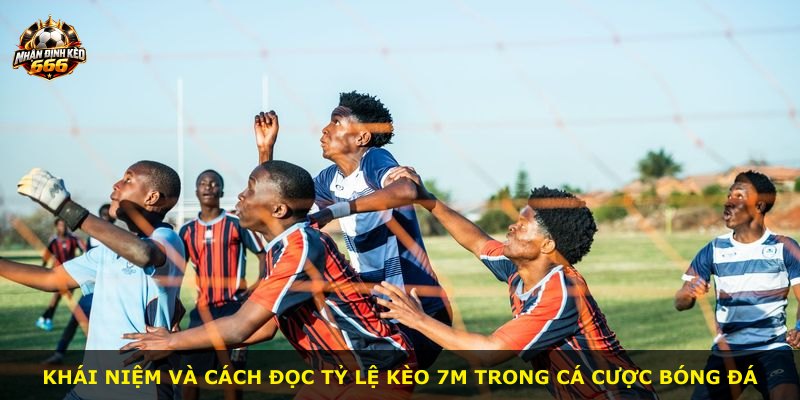 Khái niệm và cách đọc tỷ lệ kèo 7m trong cá cược bóng đá
