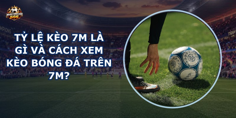 tỷ lệ kèo 7m